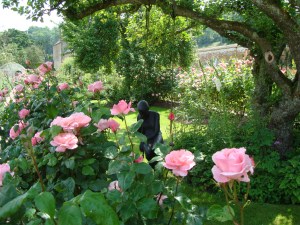 Carefree in the rose gardens!